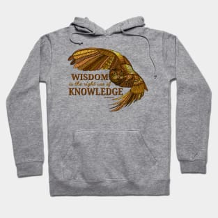 Wisdom Owl Hoodie